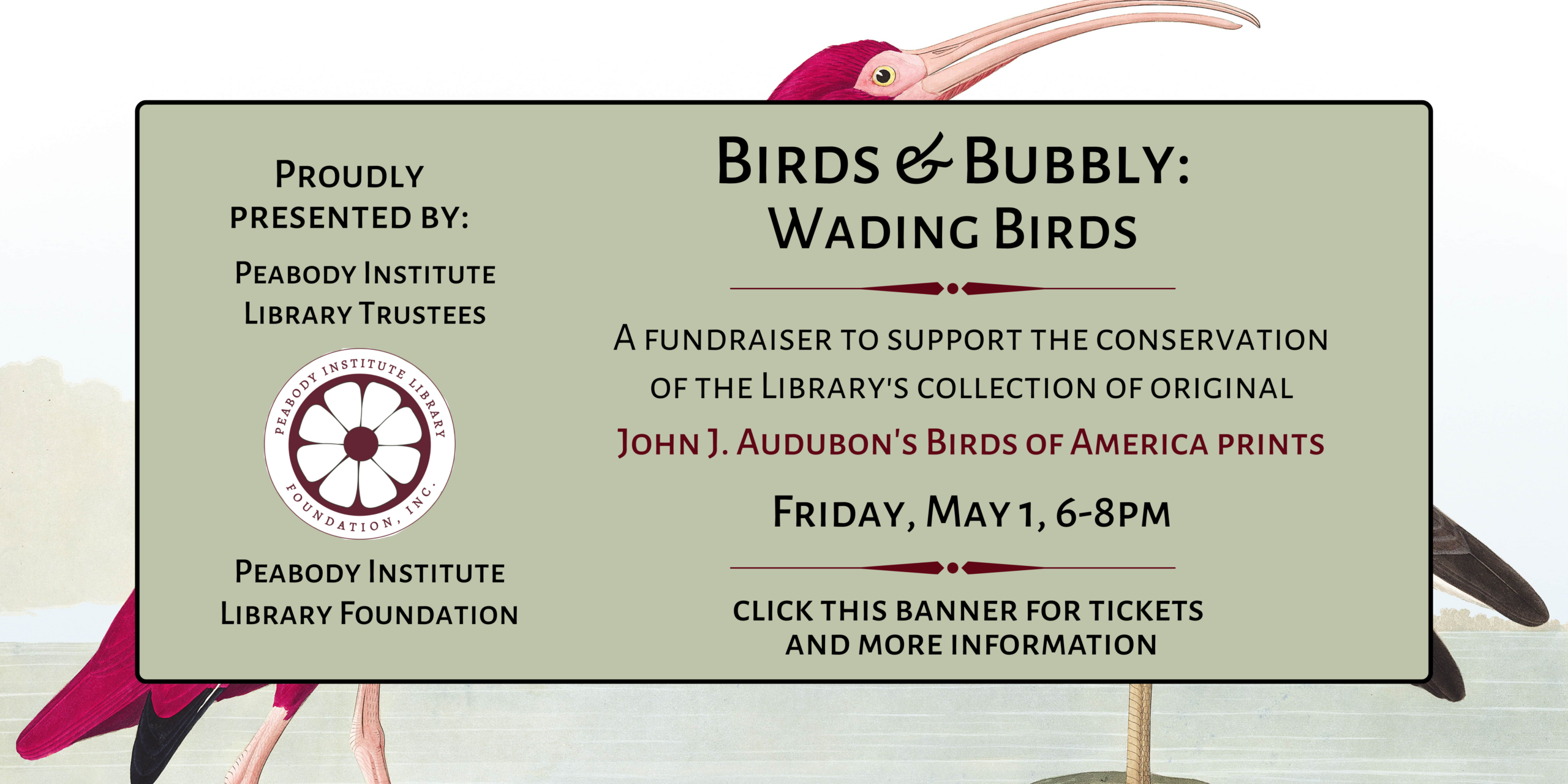 PIL Outdoor Banner Template (2)